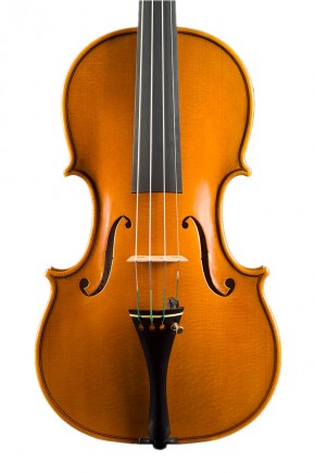 Violin  - image